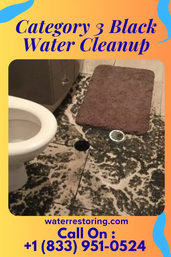 Category 3 Black Water Cleanup in Wake Village, TX