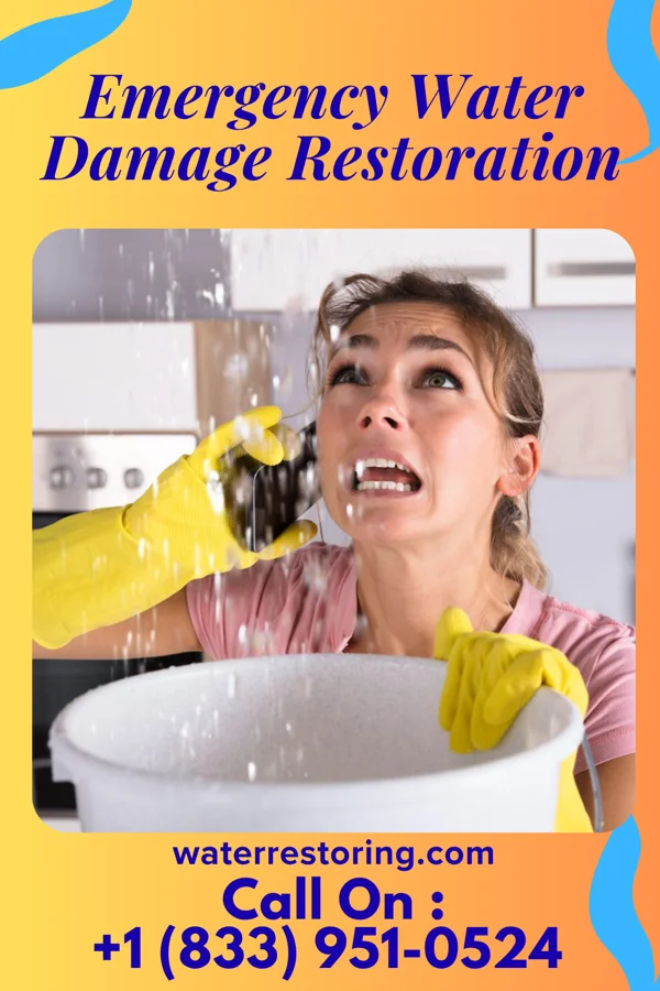 Emergency Water Damage Restoration in Wake Village, TX