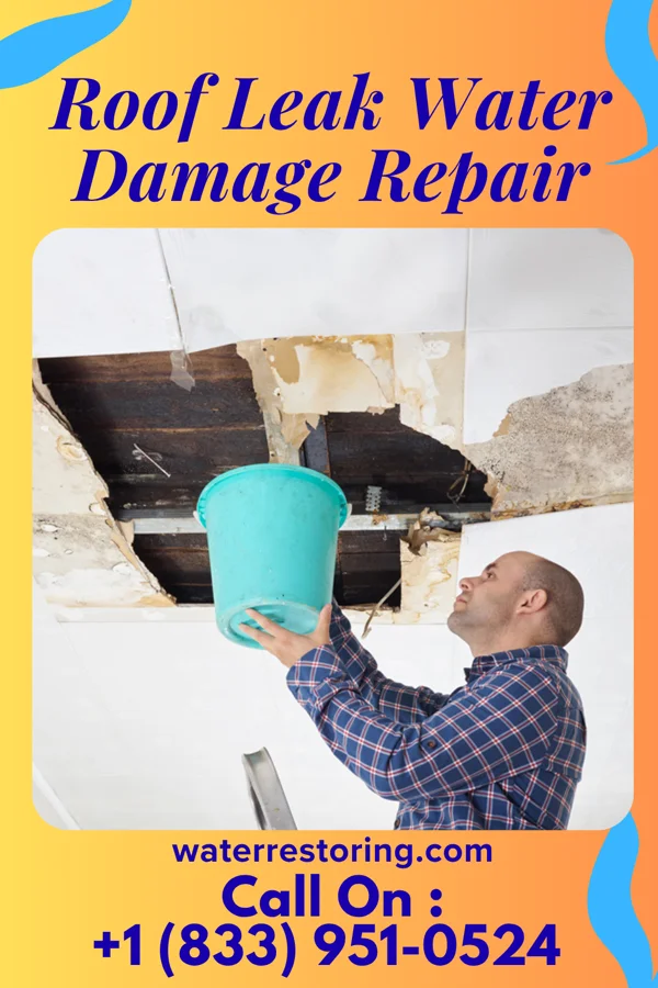 Roof Leak Water Damage Repair in Wake Village, TX