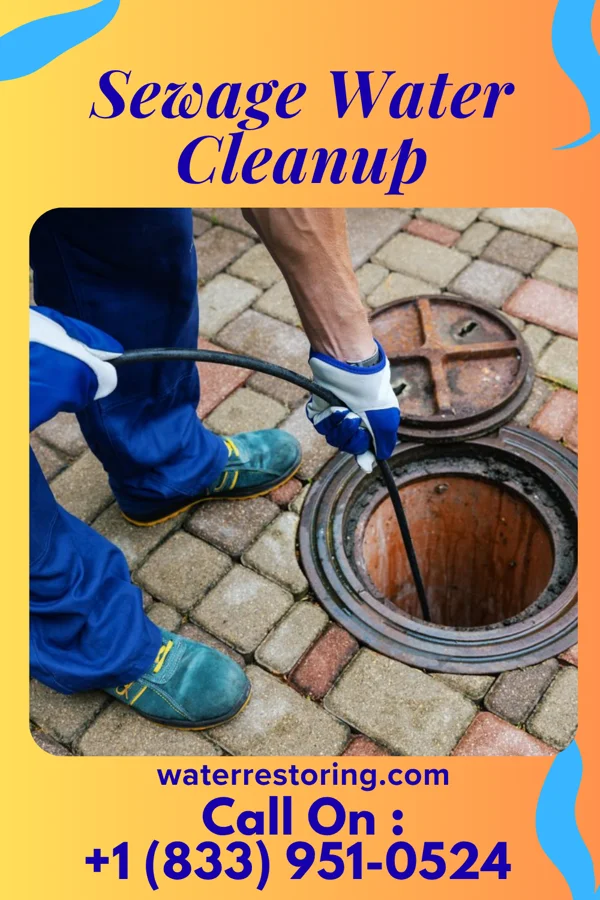 Sewage Water Cleanup in Wake Village, TX