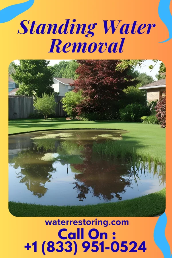 Standing Water Removal in Wake Village, TX